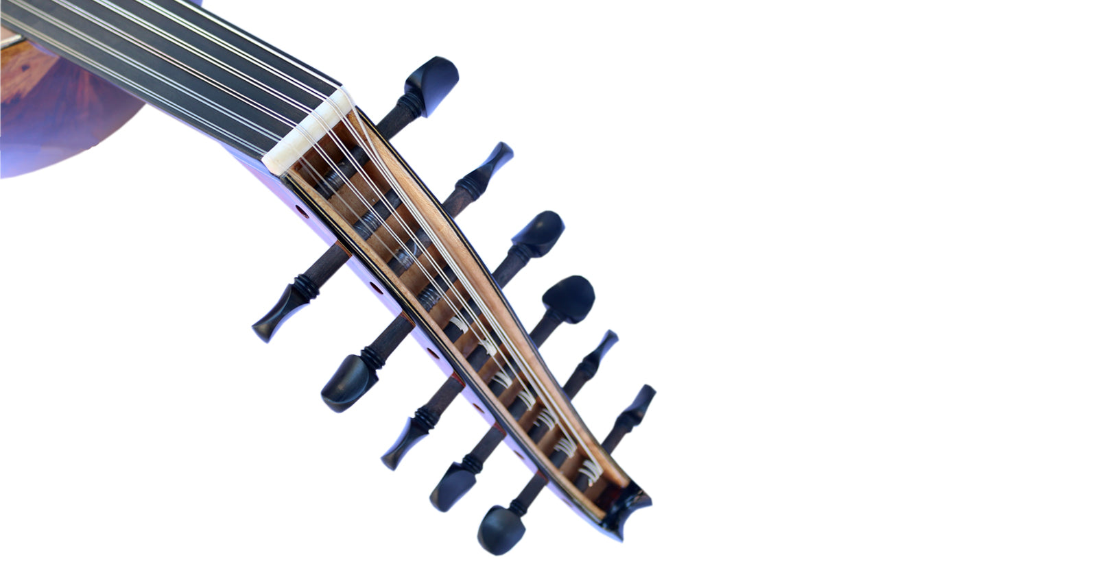 Arabische cocobolo-oud van Miras MRS-44