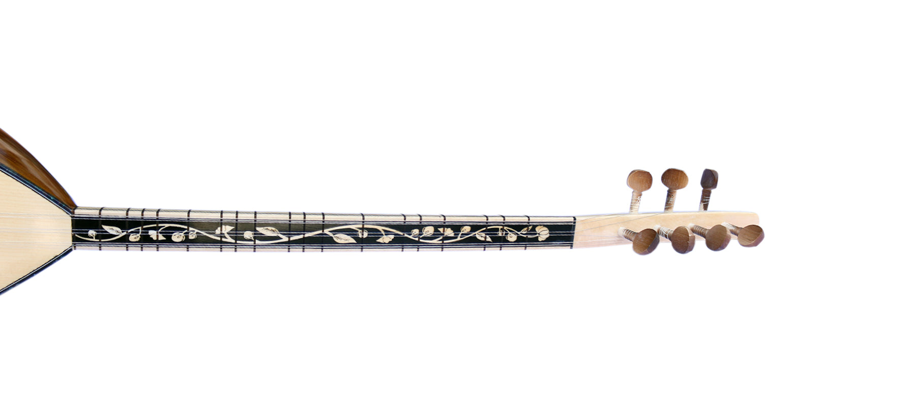 Dest Maulbeere-Kurzhals-Baglama ASK-306