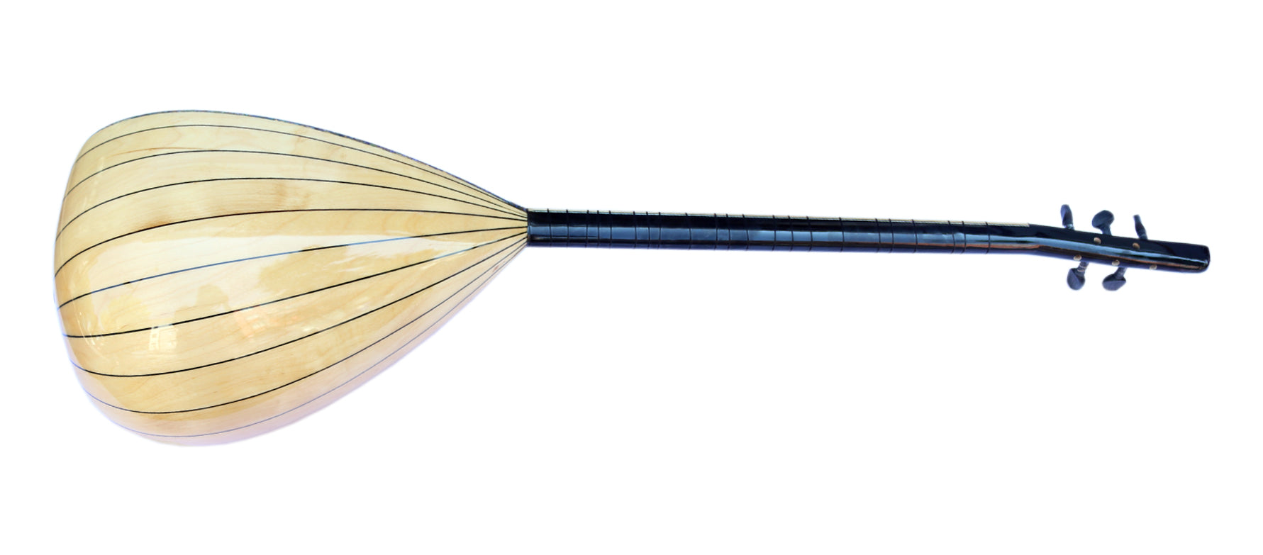 Dest E-Baglama Saz RT1 mit eingebautem Rhythmussystem