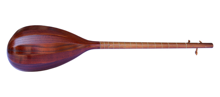 Electric-acoustic Persian tanboor ETM-4 with built-in equalizer and onboard pickup
