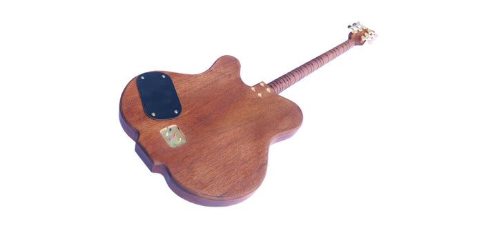 Sala Muzik professional caglama CAG-4 hybrid electric
