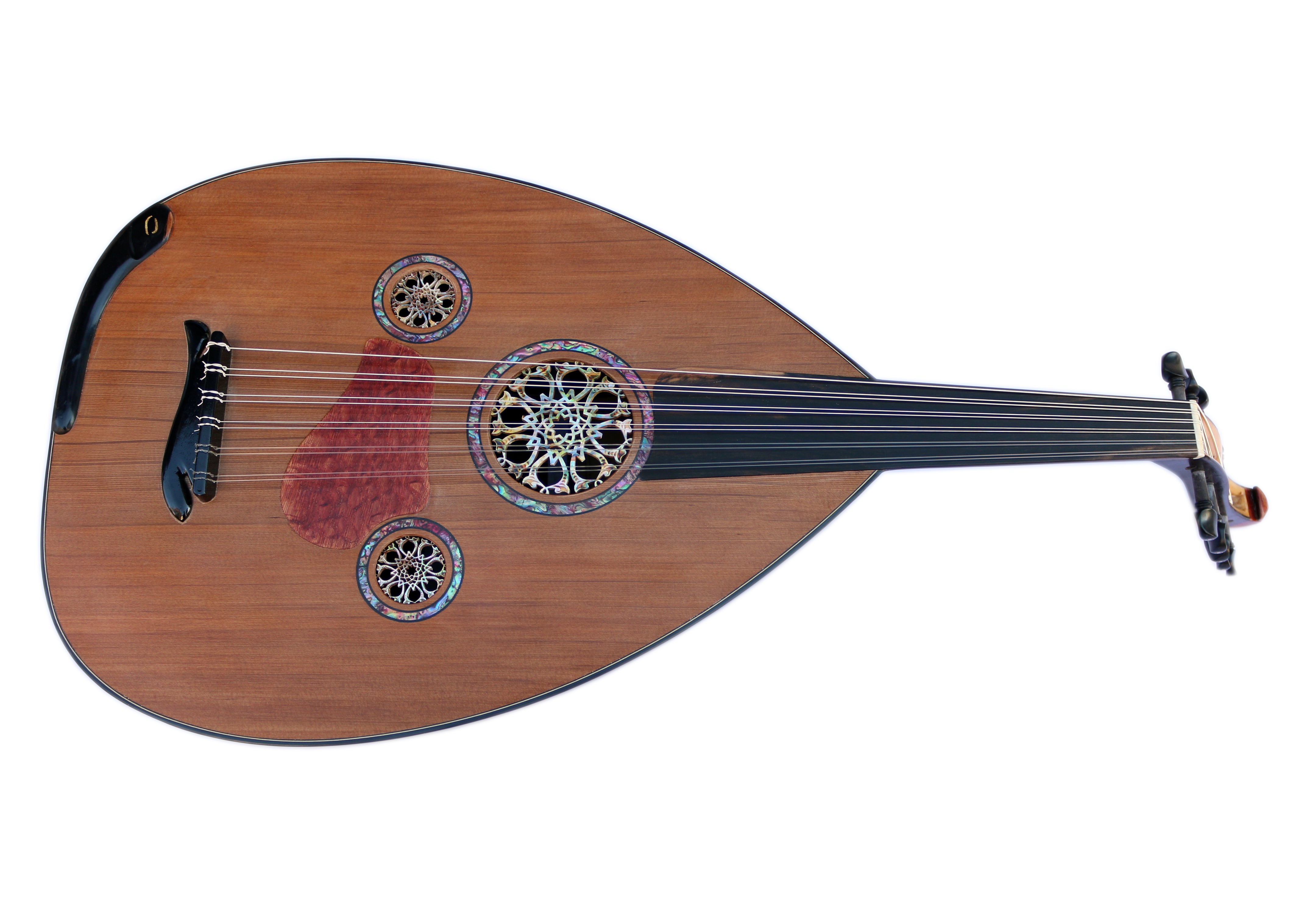 Mehmet Caymaz arabische Oud CM-5 aus Ebenholz und Palisander