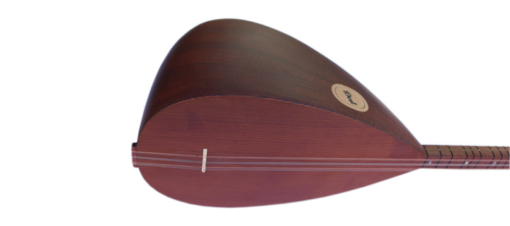 Dest High Quality Turkish Long Neck Saz ASP-305