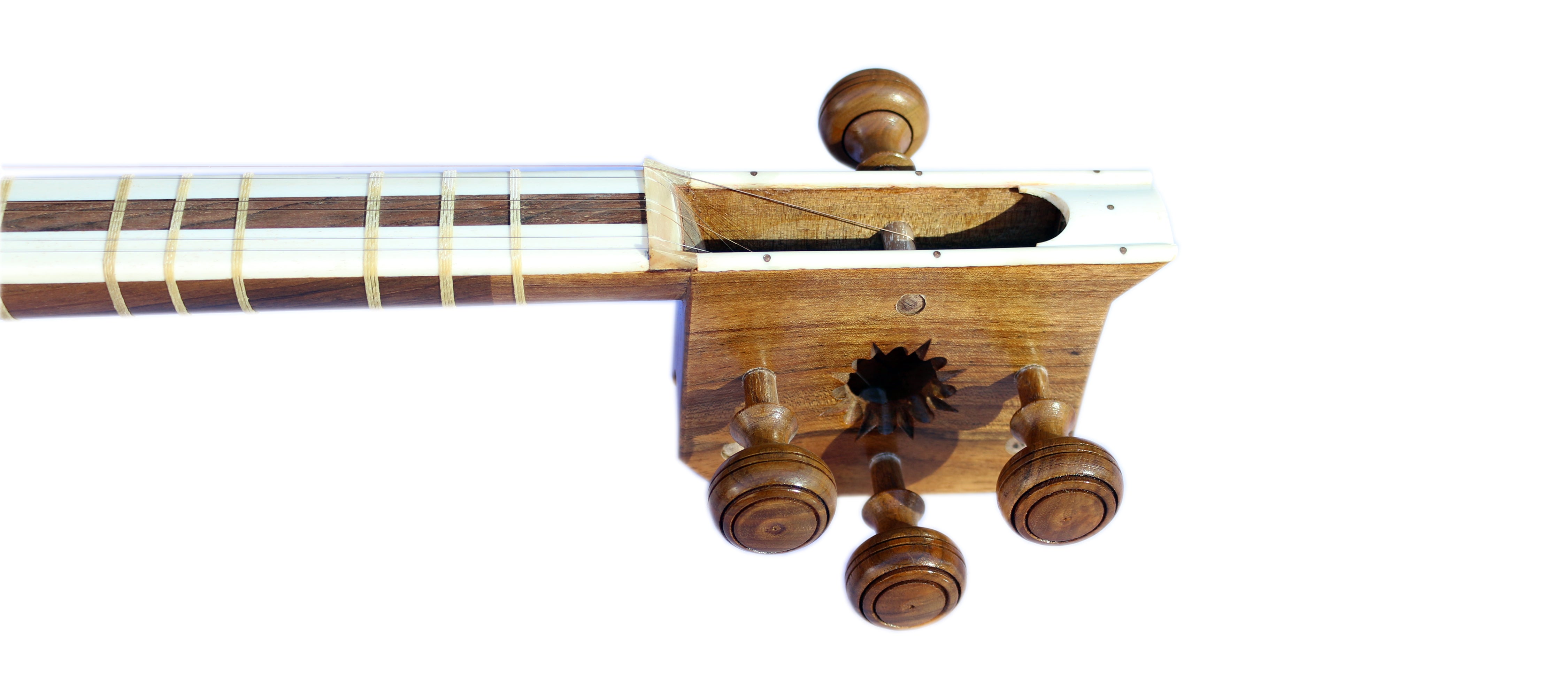 Tar DT-304 von Dariosh Konzert persisches Langhals-Instrument