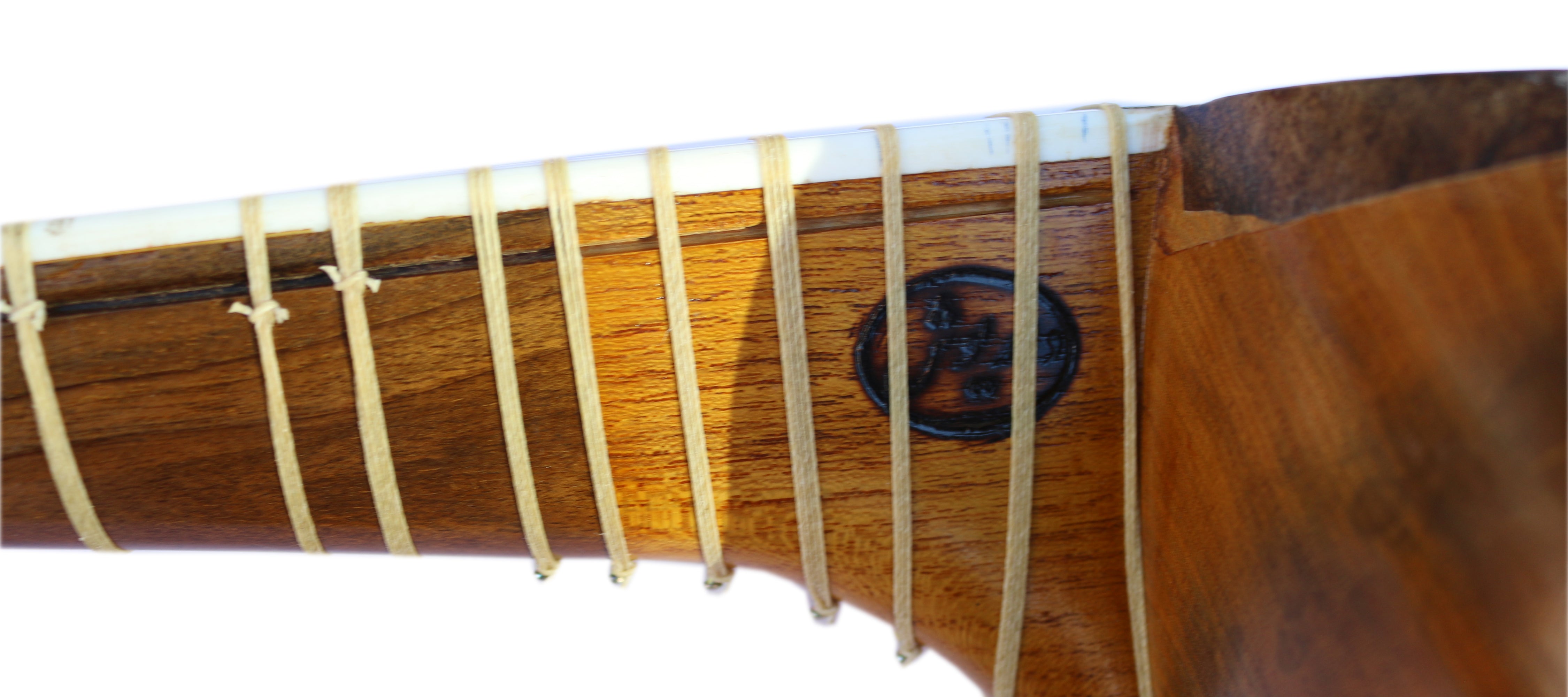 Persisches Tar DT-304 von Dariosh traditionelles Zupfinstrument