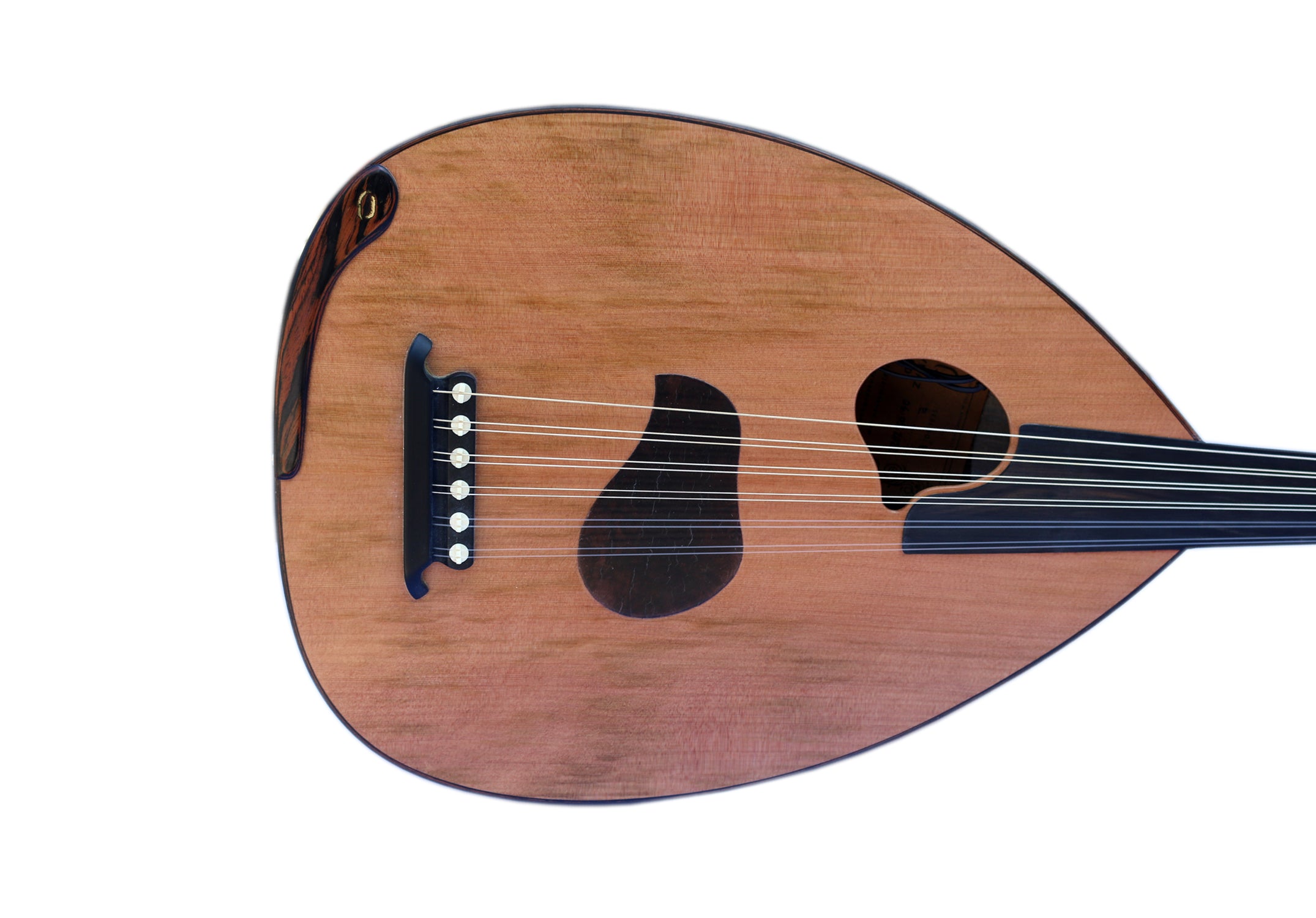 Elektrische Oud PROUD-5 mit Ebenholzkorpus handgefertigt von Meister-Luthier Mehmet Caymaz