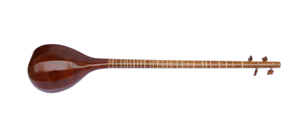 Hormoz High Quality Setar HS-308