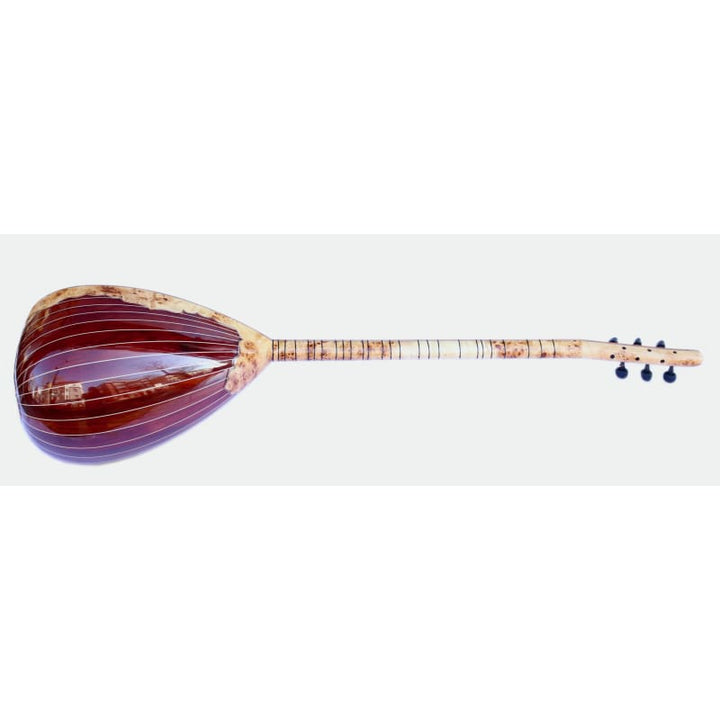 Custom electric saz SES-5 handmade by Sala