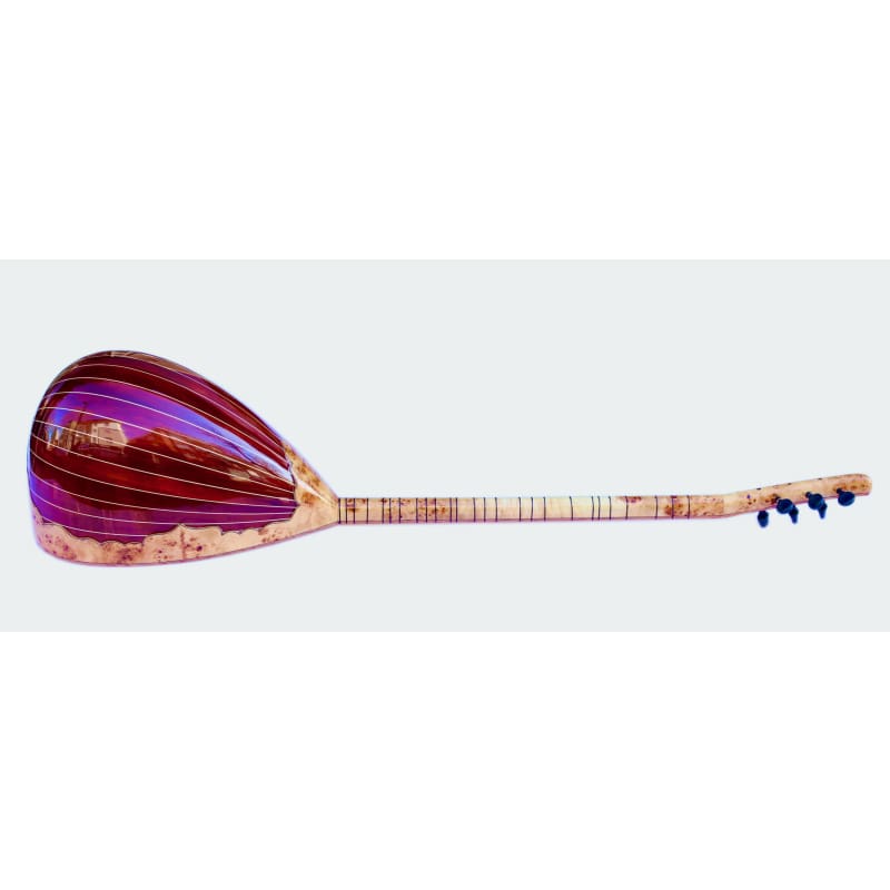Custom electric saz SES-5 handmade by Sala
