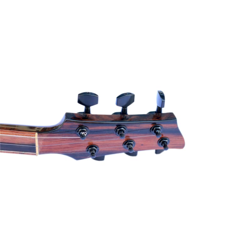 Sala maßgefertigte E-Baglama SES-4