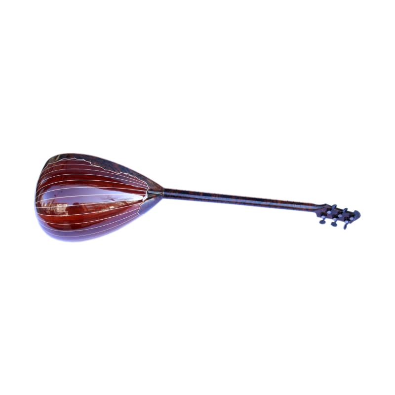 Sala maßgefertigte E-Baglama SES-4