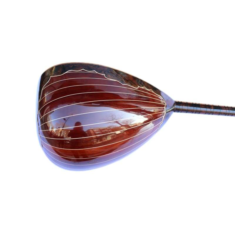 Sala maßgefertigte E-Saz SES-4