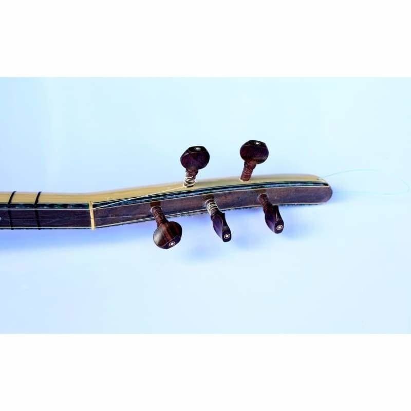 Dest Langhals-E-Baglama Saz EQ2 mit EQ