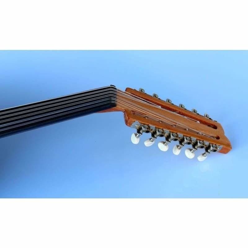 Arabische E-Oud AAOK-208G aus Walnuss von Sala
