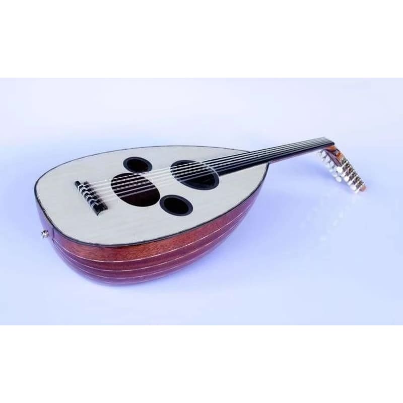 Sala arabische professionelle E-Oud AAOK-301G