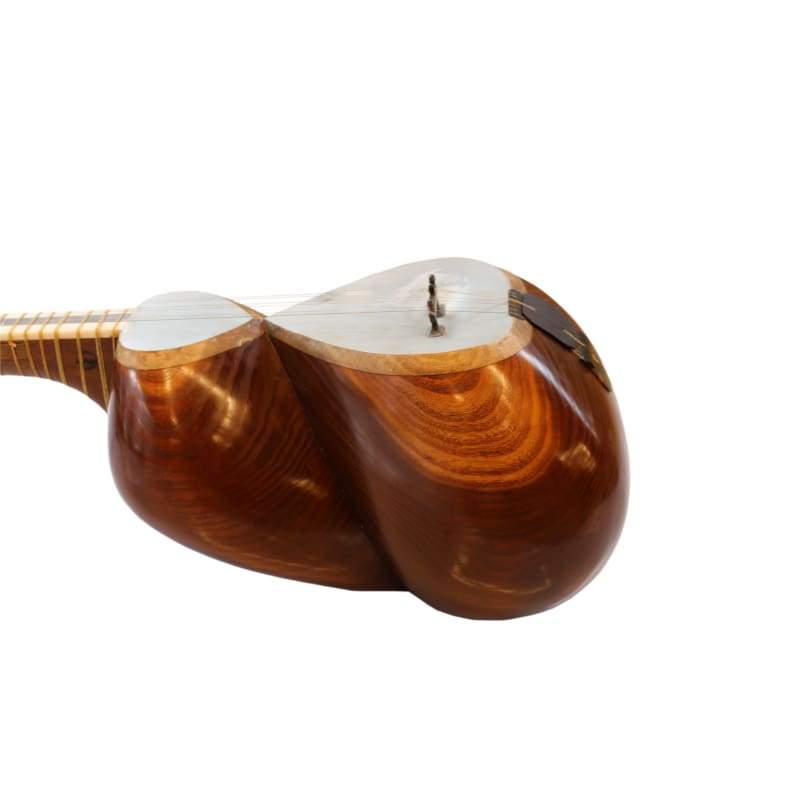 Tar ABT-404 von Aliyari handgefertigtes persisches klassisches Instrument