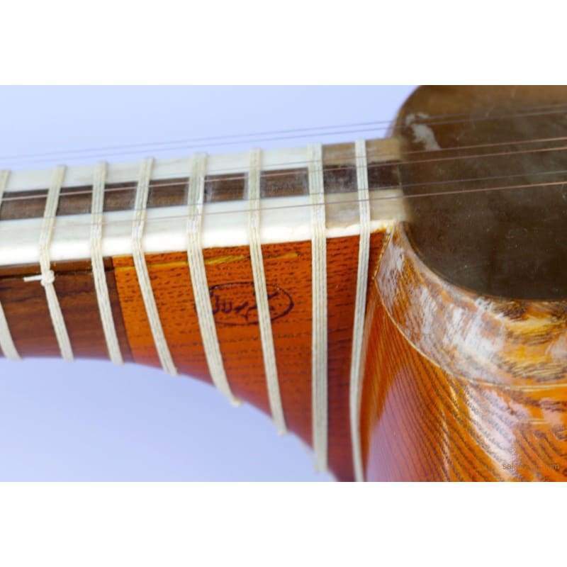 Tar AYT-307 von Molayi Konzert persisches Tar Langhalslaute