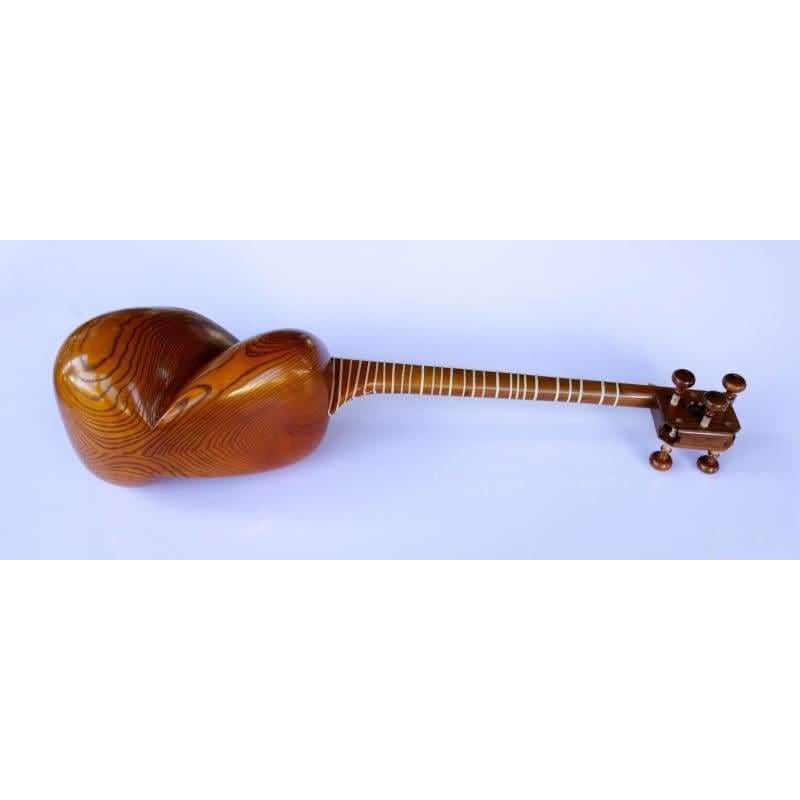 Molayi Tar AYT-307 persisches Saiteninstrument mit Kamelhaut