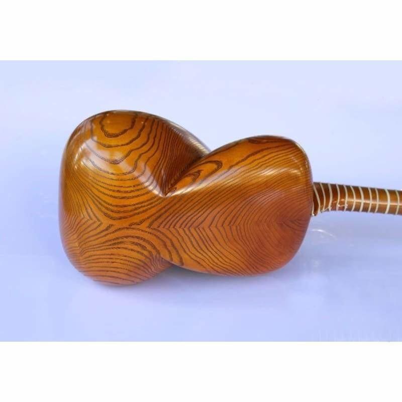 Persisches Tar AYT-307 von Molayi traditionelles Zupfinstrument