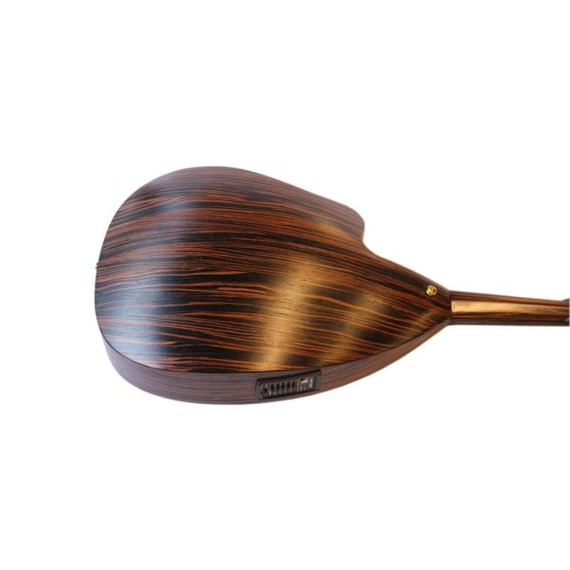 Mehmet Caymaz E-Oud PROUD-4