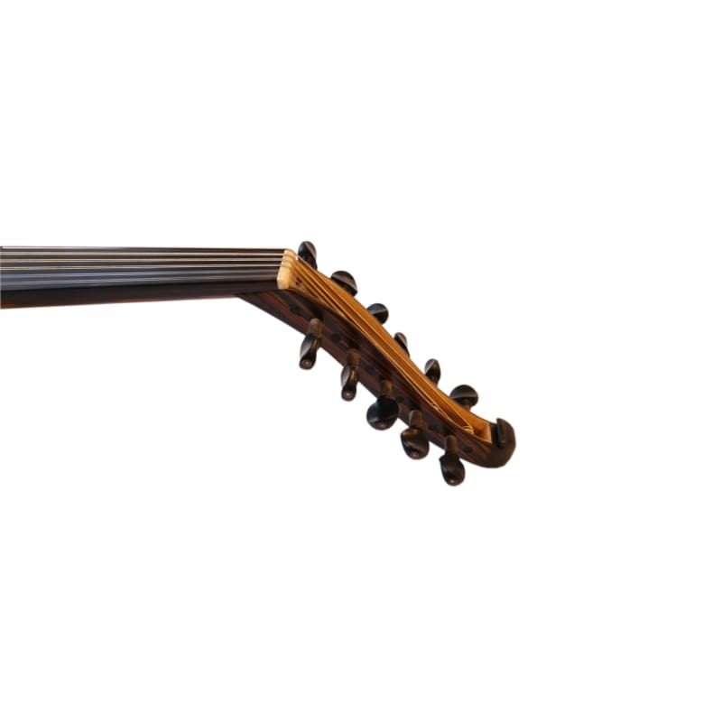 Mehmet Caymaz E-Oud PROUD-4