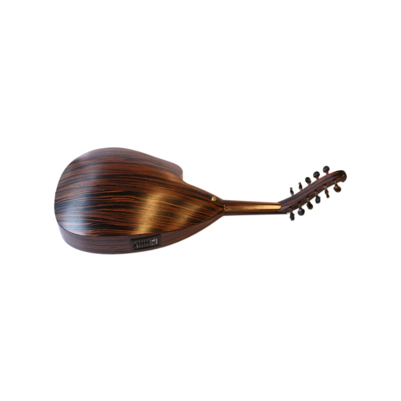 Handgefertigte E-Oud PROUD-4 von Mehmet Caymaz