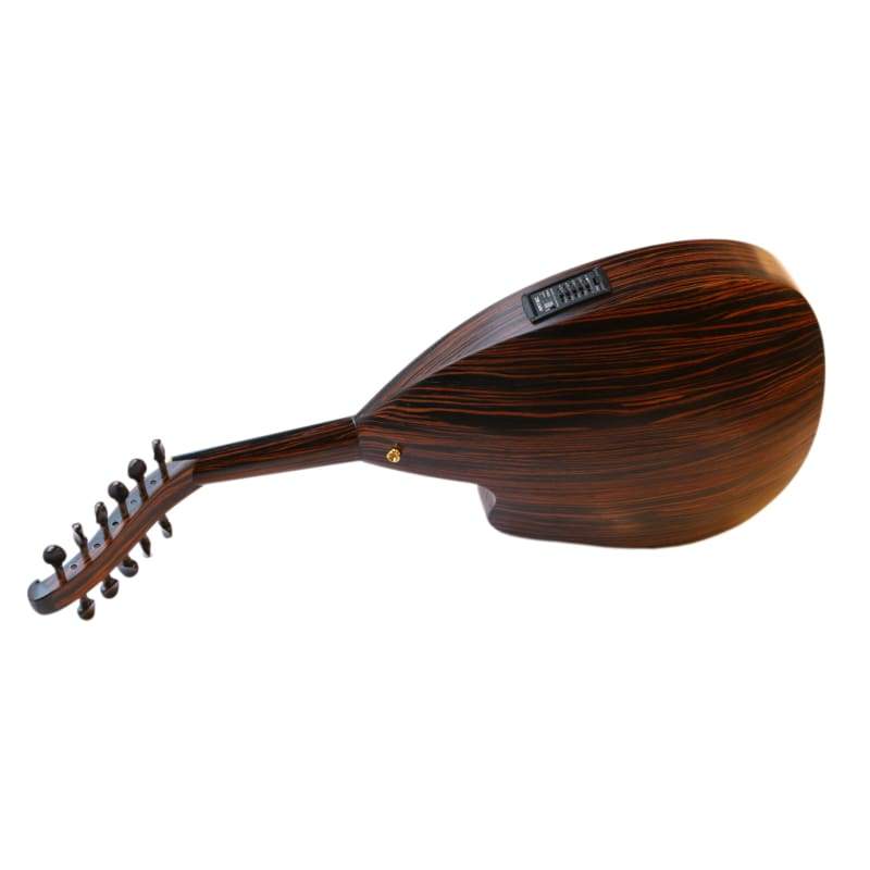 Ebenholz-E-Oud PROUD-4 von Mehmet Caymaz