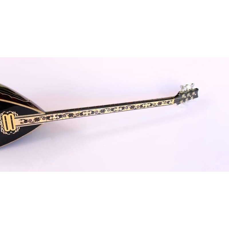Special electric baglama SES-308GB by Sala
