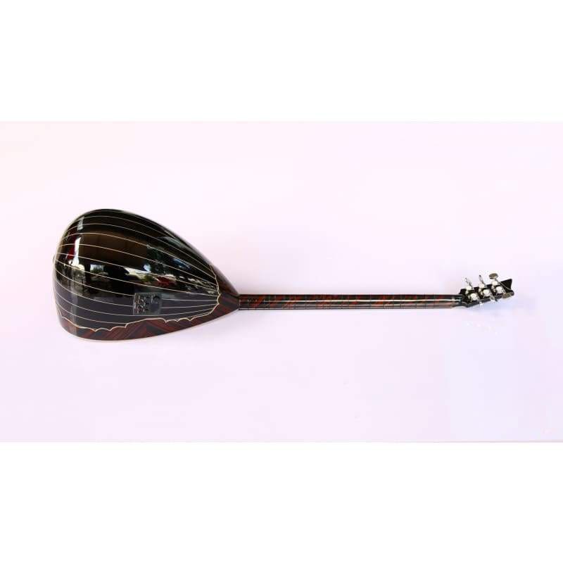 Special electric baglama SES-308GB by Sala