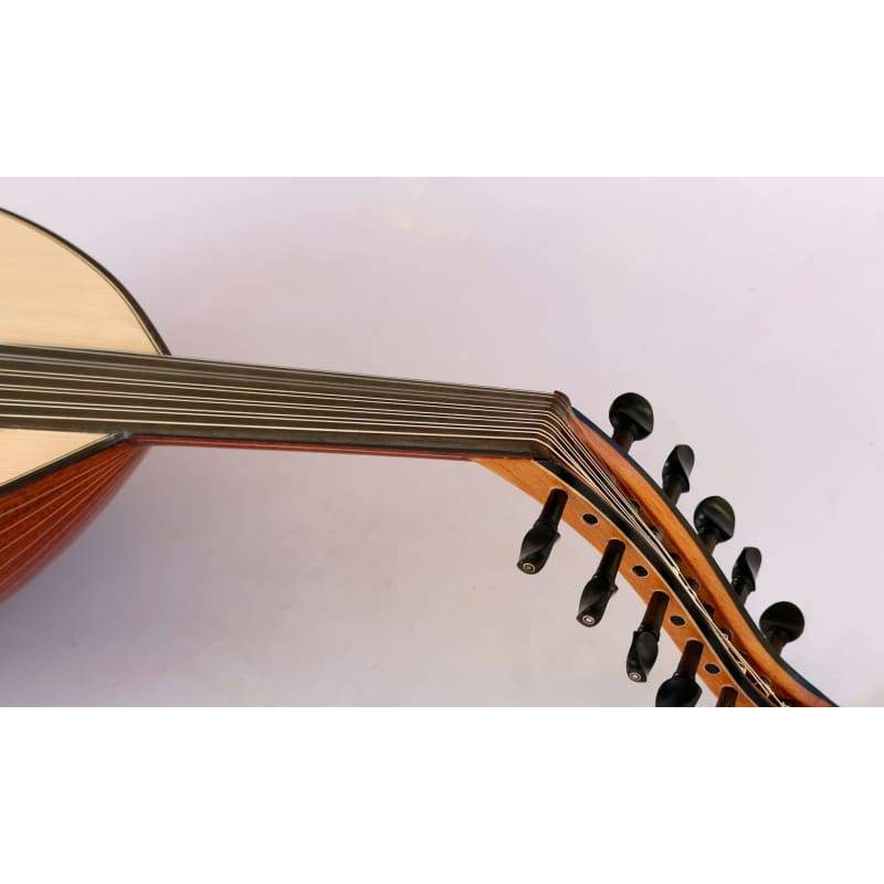 Türkische Linkshänder-Oud AO-101ML Mahagoni von Sala
