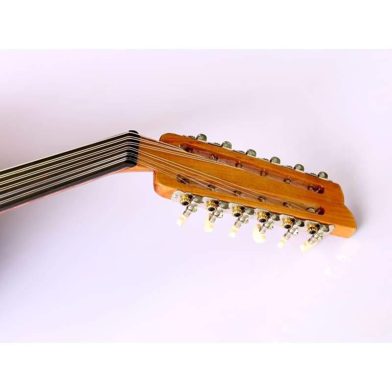 Professionelle türkische E-Oud AOK-301G von Sala Muzik
