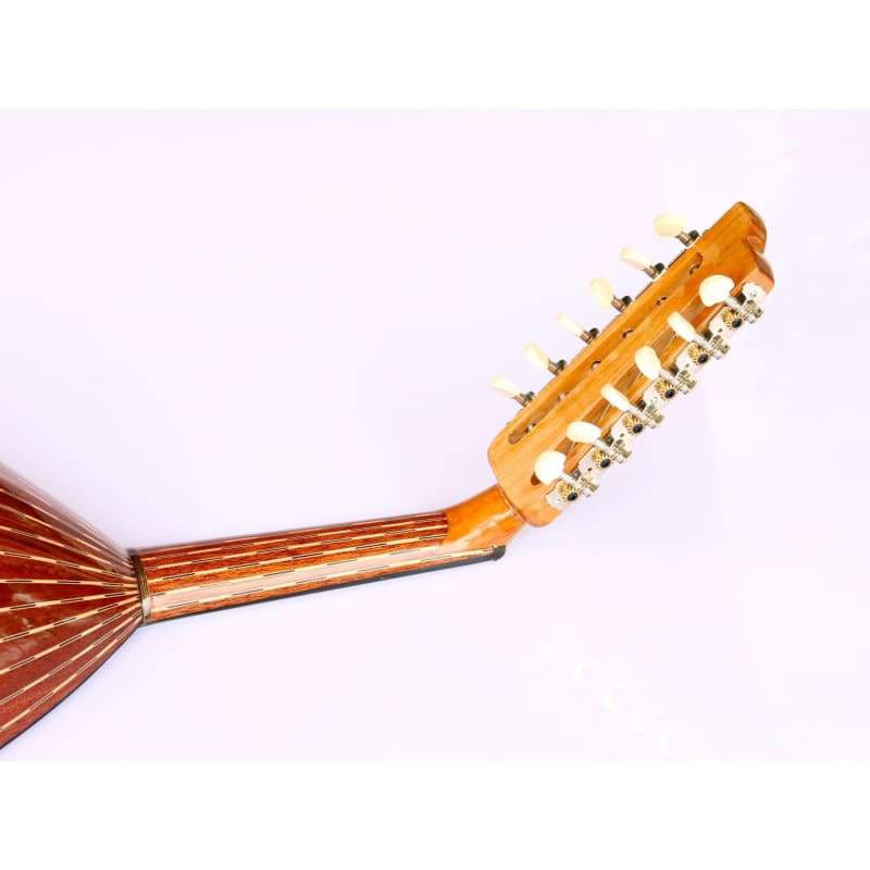 Mahagoni türkische E-Oud AOK-301G von Sala