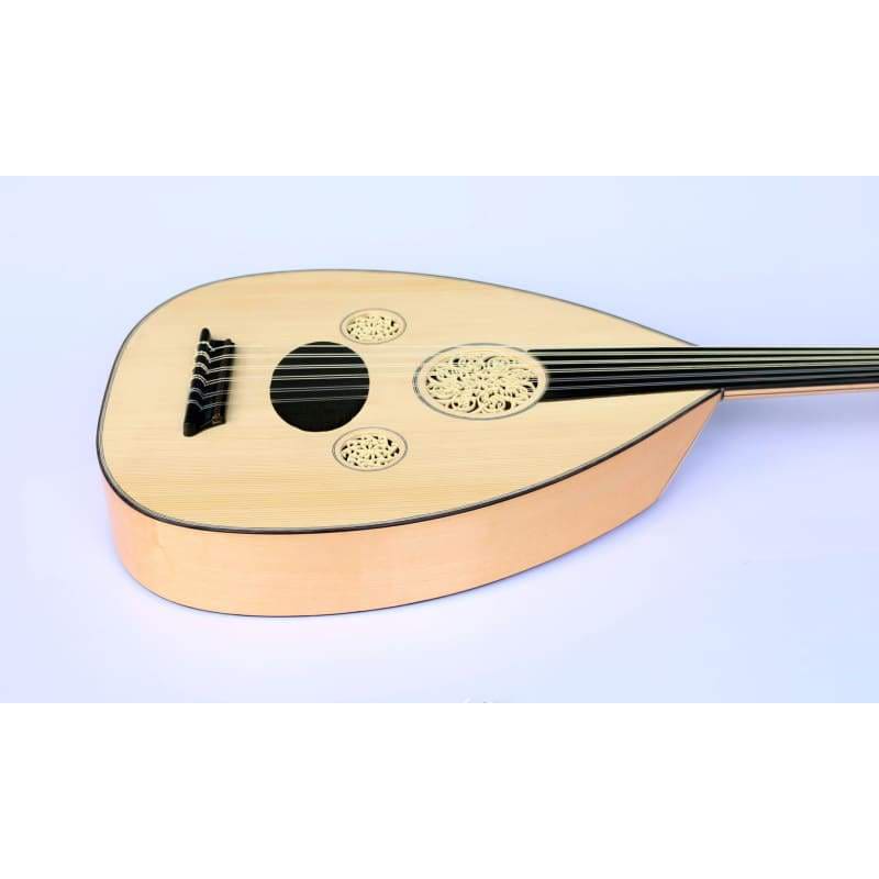 Professionelle türkische E-Oud OUDE 3 mit Softcase und Zubehör